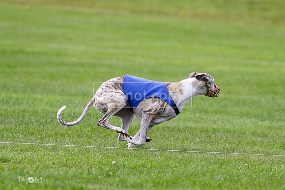 MCH77533  Ruthless, June, Hank