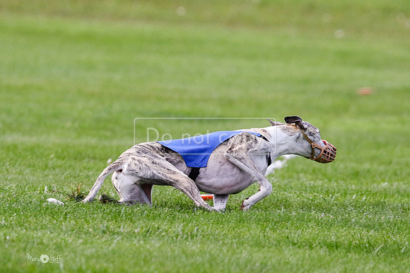 MCH77534  Ruthless, June, Hank