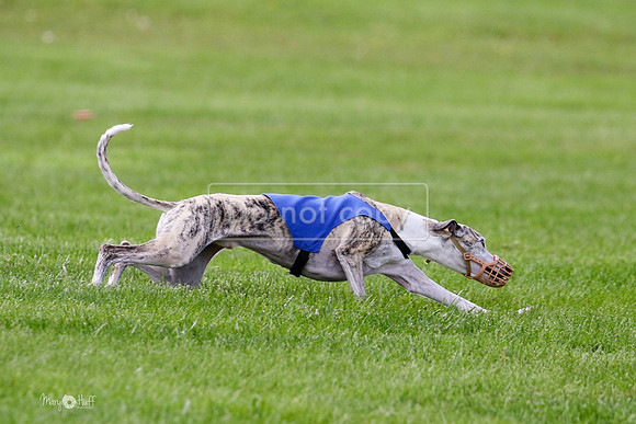 MCH77535  Ruthless, June, Hank