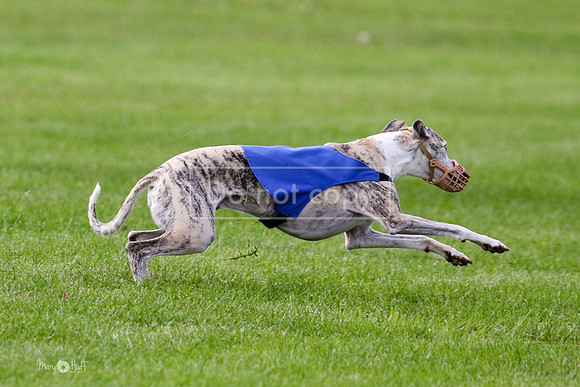MCH77537  Ruthless, June, Hank