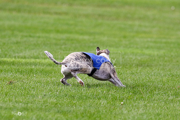 MCH77539  Ruthless, June, Hank