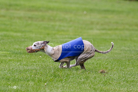 MCH77542  Ruthless, June, Hank
