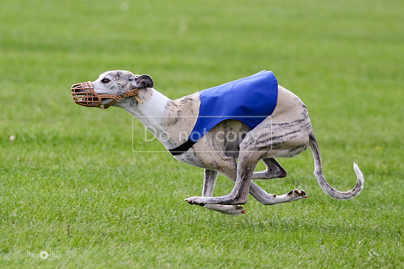 MCH77551  Ruthless, June, Hank