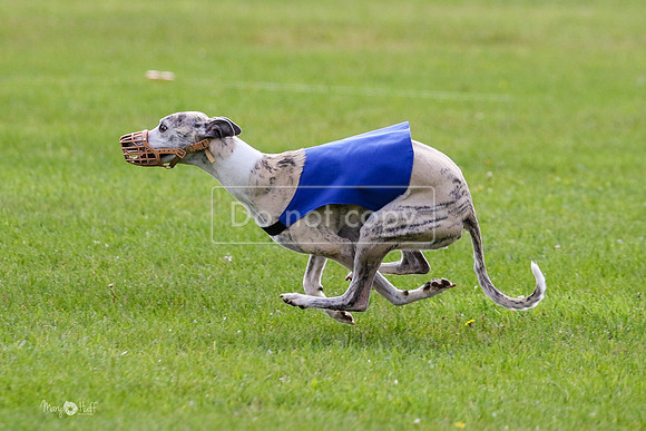 MCH77561  Ruthless, June, Hank