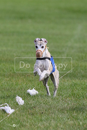 MCH77564  Ruthless, June, Hank