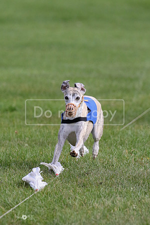 MCH77565  Ruthless, June, Hank