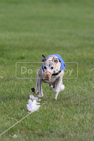 MCH77566  Ruthless, June, Hank