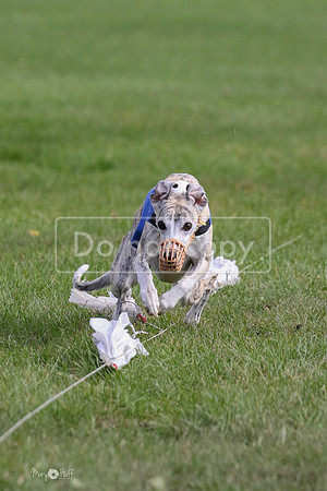 MCH77567  Ruthless, June, Hank