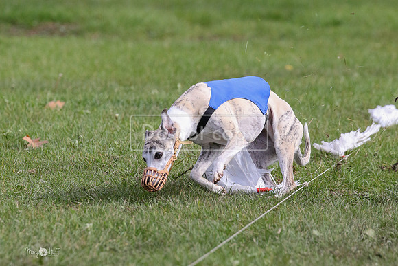 MCH77570  Ruthless, June, Hank