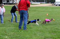 MCH77399  Dasher, Katie, Reo