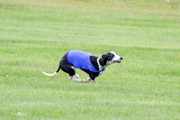 MCH77402  Dasher, Katie, Reo