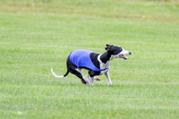 MCH77405  Dasher, Katie, Reo