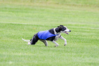 MCH77403   Dasher, Katie, Reo