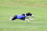 MCH77406  Dasher, Katie, Reo