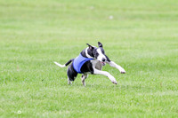 MCH77409  Dasher, Katie, Reo