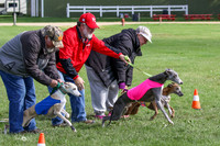 MCH77670  Stryker, Conall, Max