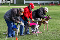 MCH77668  Stryker, Conall, Max