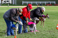 MCH77667  Stryker, Conall, Max