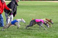 MCH77673  Stryker, Conall, Max