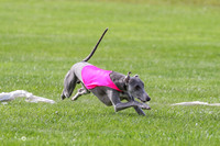 MCH77679  Stryker, Conall, Max