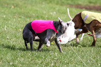 MCH77691  Stryker, Conall, Max