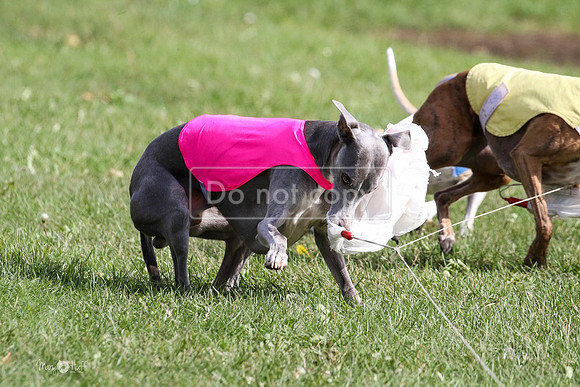 MCH77691  Stryker, Conall, Max