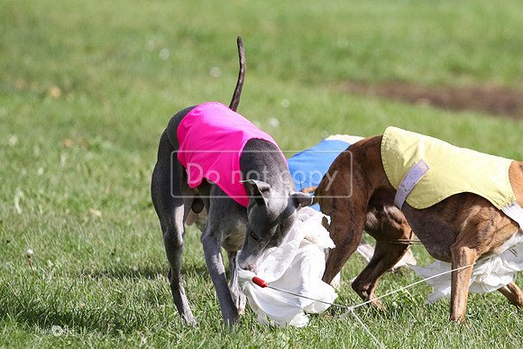 MCH77693  Stryker, Conall, Max