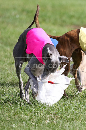 MCH77694  Stryker, Conall, Max