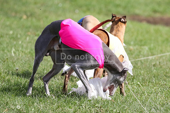MCH77695  Stryker, Conall, Max