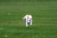MCH59142   Dasher, Olivia