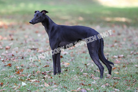 MCH58132-Edit