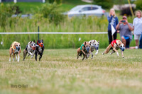 Prg 2, Race 4, Marty, Bogie, Denim, Meatloaf, Blaze, Raz-0984