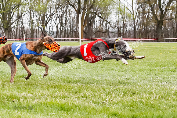 WRA, Prg 4, Race and 7, Voodoo Snacks Java Savvy Entei Henry-9384