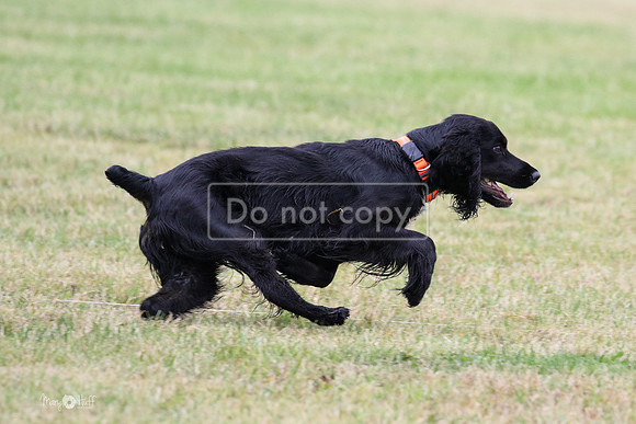 MCH70478