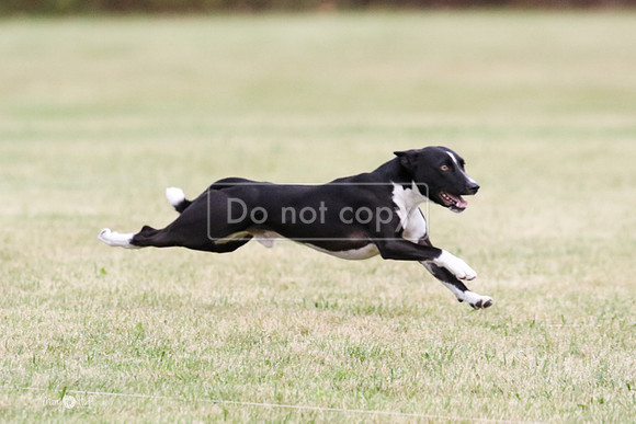 MCH78104