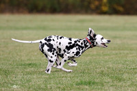 MCH78742