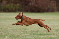 MCH78620
