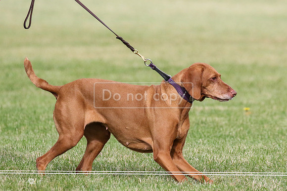 MCH78551