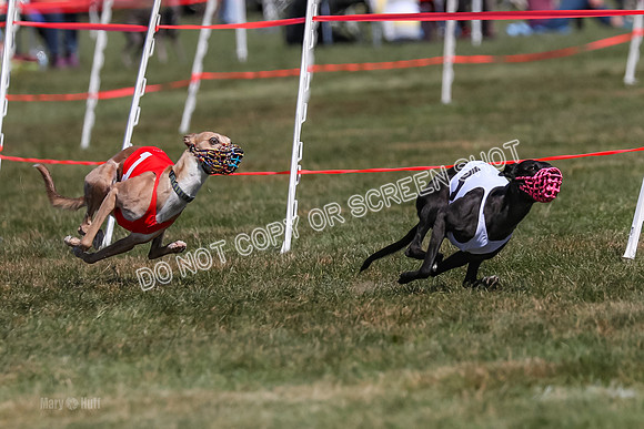 Prg 3, Race 6, Micky Sansa Power Arrow-2062