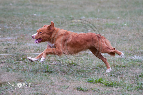 IMG_8953