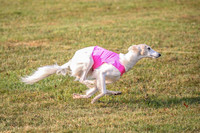 1 Prelims Open Spiff Ripley-0524