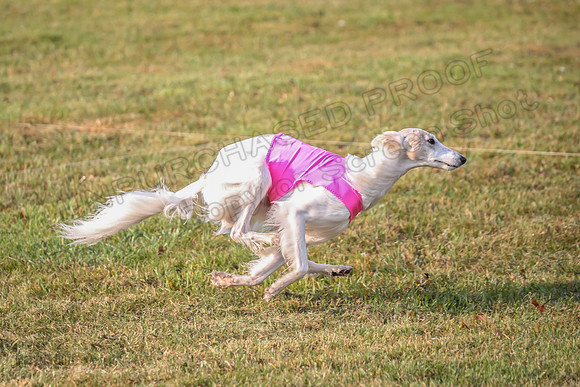 1 Prelims Open Spiff Ripley-0524
