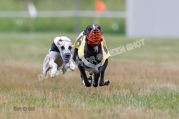 Prg 3, Race 4, Rowan-Jett-Blaze-Shimmy-Bogie-1117