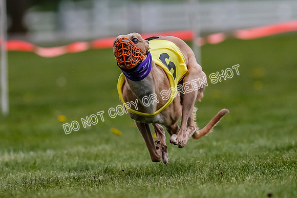 WRA, Prg 1, Race 3, Kixx Guppy Flair Whammy-8277