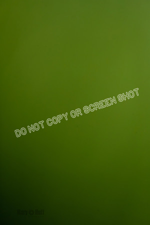 _E4I6807