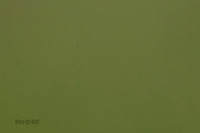 Cat Test 1-0517