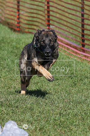 MCH73917