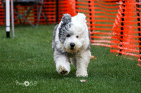 MCH72578