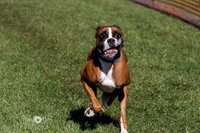 MCH73864