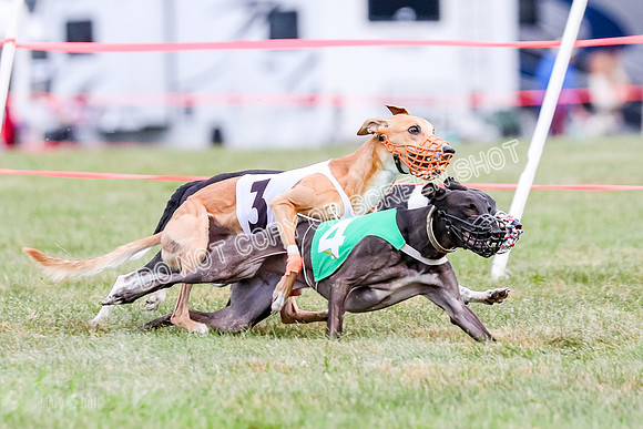 Prg 1, Race 16, Carl Maybe Bookie Sealli-0974